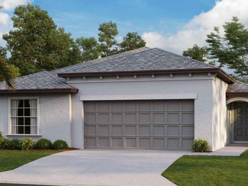 5059 White Chicory Drive - Florida - Apollo Beach - 33572