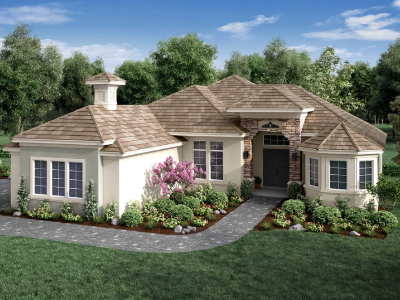 15 New Water Oak Drive - Florida - Palm Coast - 32137