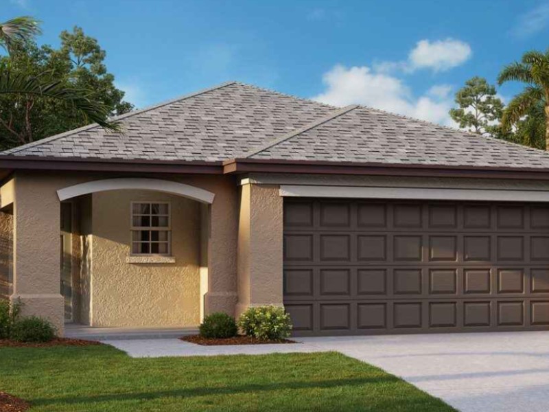 4223 Globe Thistle Dr - Florida - Tampa - 33619