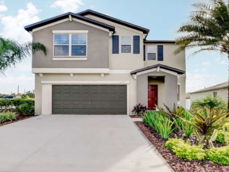 4223 Globe Thistle Dr - Florida - Tampa - 33619