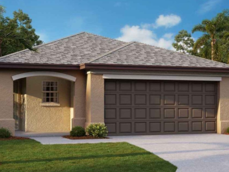 4223 Globe Thistle Dr - Florida - Tampa - 33619