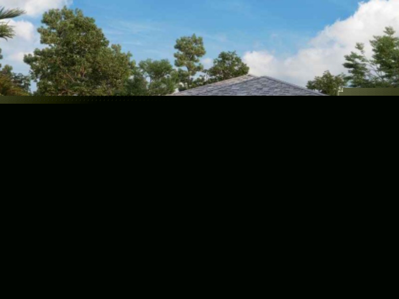 13206 Satin Lily Drive - Florida - Riverview - 33579